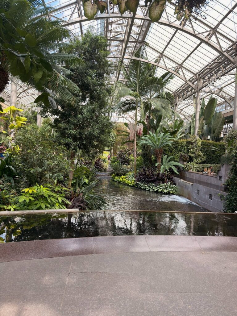 Lush tropical plants and a water feature inside a glass conservatory garden.
